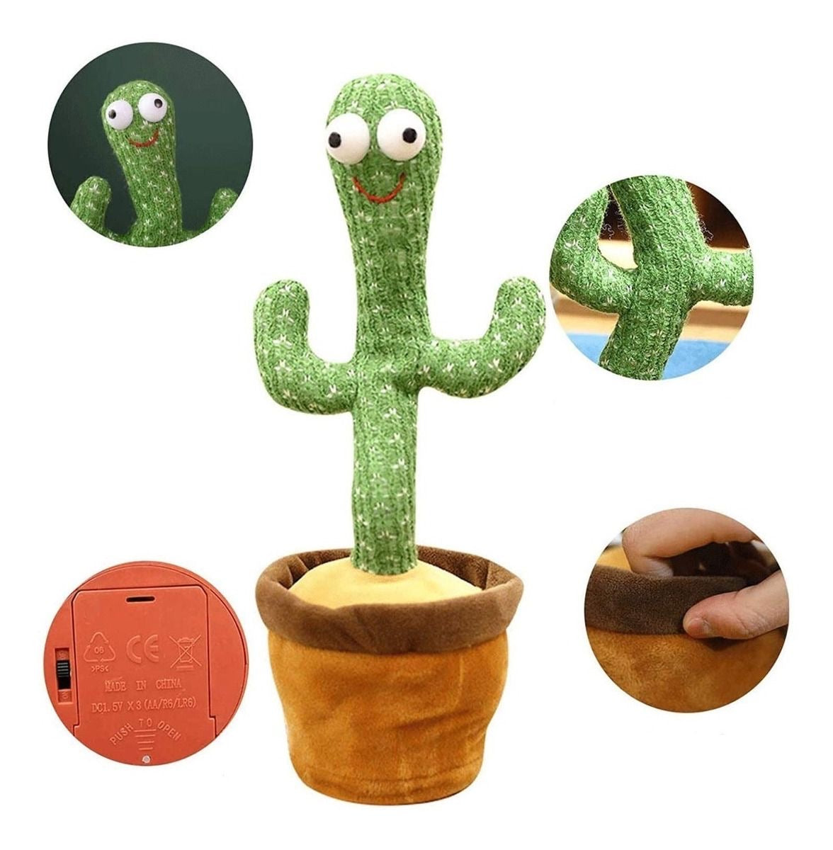 CACTUS BAILARIN